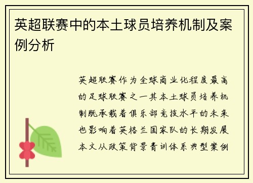 英超联赛中的本土球员培养机制及案例分析
