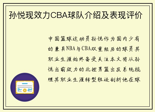 孙悦现效力CBA球队介绍及表现评价